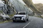 Audi Q3 Advanced 2018 года (WW)